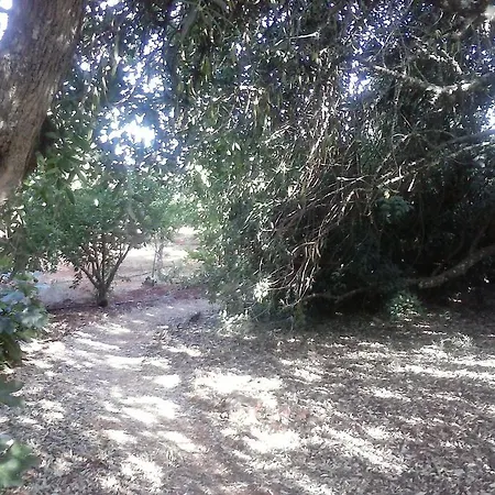 Casa Tia Adelina Paderne (Faro)