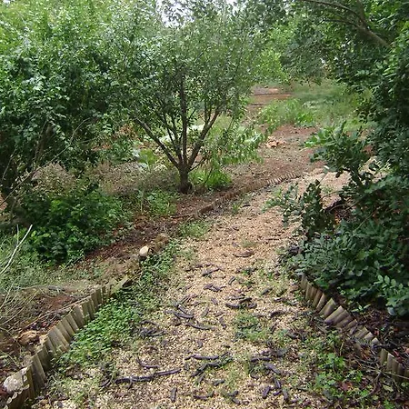 Casa Tia Adelina Сasa de vacaciones